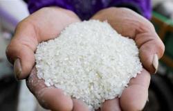 البنك المركزى يصدر قرارًا استثنائيًا بشأن «الأرز والفول والعدس».. تعرف عليه