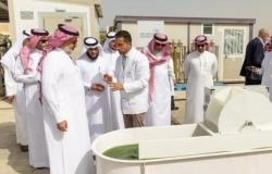 السعودية تدشن مشروعا لصناعة الطحالب