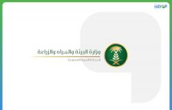 وزارة البيئة تصدر بيانا توضيحيا حول الوظائف البيطرية
