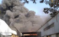 بالفيديو والصور : حريق مصنع بلاستيك في الرمثا - الاردن
