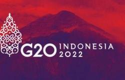 دول قمة العشرين توافق على إطلاق صندوق لمكافحة الأوبئة