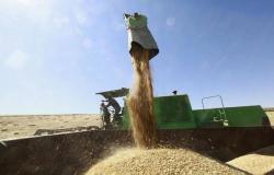 مصر تعلن استعدادها لاستضافة مركز عالمي لتوريد وتخزين الحبوب