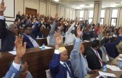 133 نائبا صوماليا يكافحون الإرهاب