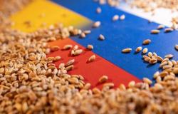 روسيا تؤكد استعدادها لمواصلة الحوار بشأن تنفيذ صفقة الحبوب