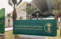 3 توصيات من "البيئة" السعودية لتخصيص أراضٍ لمشروعات المياه بعسير