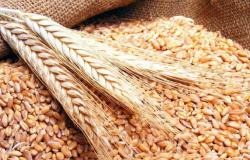 هيئة الأمن الغذائي ترسي مناقصة القمح للمستثمرين السعوديين بالخارج على شركتين