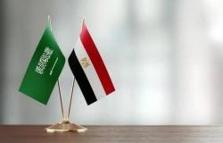 مصر والسعودية تبحثان استخدام العملات المحلية في التبادل التجاري