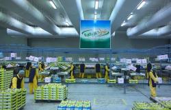 مساهمو "تبوك الزراعية" يرفضون بيع حصصها في شركة "مصادر الأعلاف"
