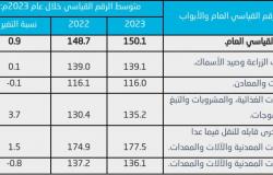 الإحصاء: 0.9% متوسط التضخم بأسعار الجملة خلال عام 2023