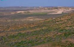 هيئة تطوير محمية الملك عبدالعزيز تُعلن عن آلية الدخول إلى منطقة الصمان