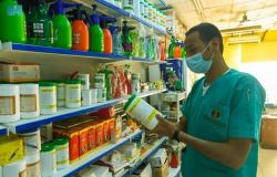 الاستخدام الآمن للمبيدات الحشرية في مكة