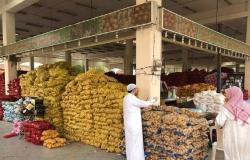 الإحصاء السعودية: معدل التضخم بأسعار الجملة يسجل 3.2% خلال يونيو 2024
