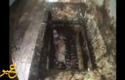 بالفيديو.. مصانع تستخدم الحمير في إنتاج اللحوم المفرومة