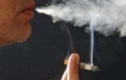 "الشبكة المصرية" تنظم احتفالية في اليوم العالمي للامتناع عن التدخين