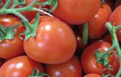 فوائد صحية كبيرة لألوان الطماطم المختلفة