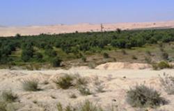 حصر كامل للزراعات المتأثرة بأحداث سيناء بالعريش ورفح