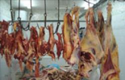 تراجع واردات اللحوم السودانية بنسبة 60%