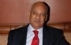 سفير مصر بالكويت: مشاركة المصريين في التصويت على الدستور "لا بأس بها"