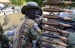 جيش جنوب السودان ينفى استيلاء عناصر المتمردين على مدينة "ملكال"