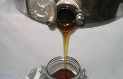 أخصائى تغذية: الحلبة والعسل الأسود يقيان من الأصابة بأمراض الشتاء