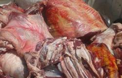 شعبة اللحوم: العوامل الجوية تؤثر فى نقل اللحوم من محافظات الصعيد للقاهرة