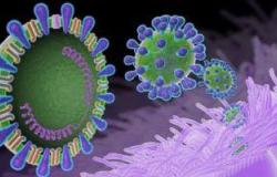 فيروس كورونا أكثر انتشارًا فى الشرق الأوسط