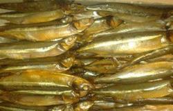 ضبط 530 كيلو من الأسماك المملحة غير الصالحة للاستهلاك الآدمى بالإسكندرية