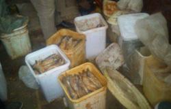 التموين تصادر 41 طن أسماك مملحة فاسدة قبل بيعها للمواطنين فى شم النسيم