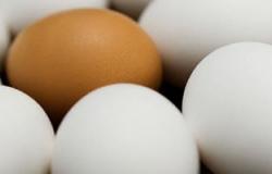 دراسة :تناول البيض مع السلطة يقوى الصحة ويحمى من السرطان بمعدل 9 أضغاف