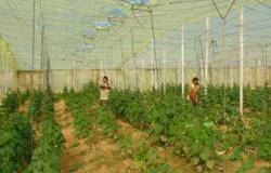 مزرعة نموذجية لخدمة طلاب كلية زراعة الوادى الجديد بتكلفة ربع مليون جنيه