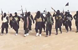 الطيران العراقى والدولى يقتل 5 من داعش فى الانبار