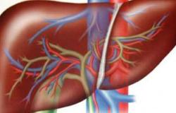 أورام الكبد المتشعبة يمكن القضاء عليها باستخدام الجسيمات المشعة