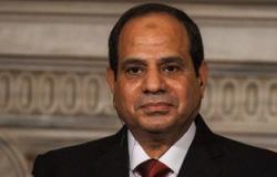 رابطة المصريين فى ألمانيا: رئيس "البوندستاج" هو من طلب لقاء السيسى