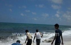 بالصور.. ظهور هيكل أحد الحيتان النافقة المتحللة على شاطئ الإسكندرية