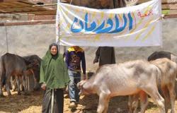 "جمعية الأورمان": 110 رؤوس ماشية مهداة من مؤسسة الرئاسة لمحافظة الغربية