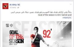جماهير الأهلى على "فيس بوك" تختار حسام غالى أفضل لاعب بالموسم