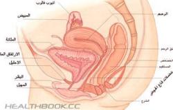 أهم تأثيرات وأعراض الإصابة ببطانة الرحم المهاجرة