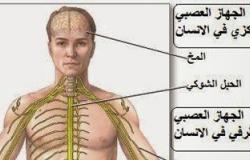 تعرف على أهم استخدامات فحص رسم العصب لتشخيص الأمراض