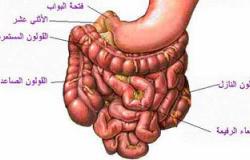 الأمعاء الغليظة تخلصك من سموم جسمك.. اعرف إزاى تحافظ عليها