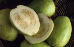 فوائد الجوافة أهمها تنظيف الأمعاء ومقاومة نزلات البرد