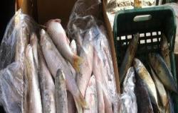 ضبط 13 طن أسماك ومصنعات لحوم غير صالحة للاستهلاك فى ديسمبر الماضى