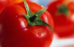 السبانخ والطماطم أطعمة مفيدة لعلاج فقر الدم
