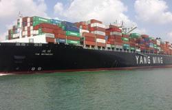 عبور 113 سفينة قناة السويس بحمولة 7.3 مليون طن خلال ثلاثة أيام
