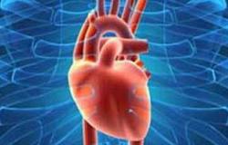 دراسة أمريكية: العقل السليم فى "القلب" السليم