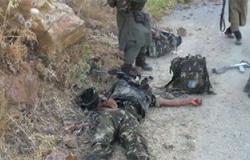 الجيش الجزائرى يقتل 3 مسلحين شرق البلاد
