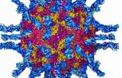 مفاجأة.. فيروس شلل الأطفال أحدث علاج للسرطان