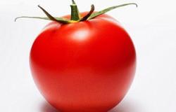 الطماطم أفضل وصفة طبيعية لكبار السن لمقاومة سرطان وتضخم البروستاتا