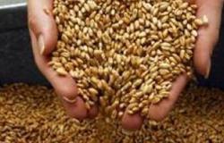 "التموين" تشكل لجنة لمواجهة خلط القمح المحلى مع المستورد قبل تخزينه
