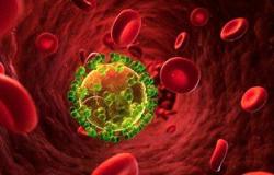 معهد الكبد بجامعة المنوفية ينهى حملات الكشف عن فيروس C