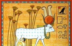 «البقرة» إلهة الخصوبة عند الفراعنة ورمز المغفرة فى الهند..وخالقة الكون فى زرادشت